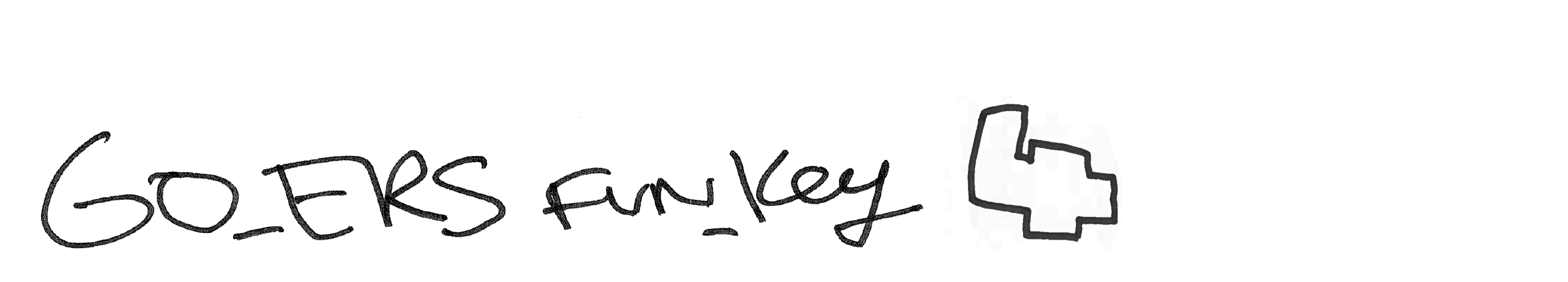 GO_ERS FUN_KEY 4 APLAT